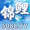官方热线